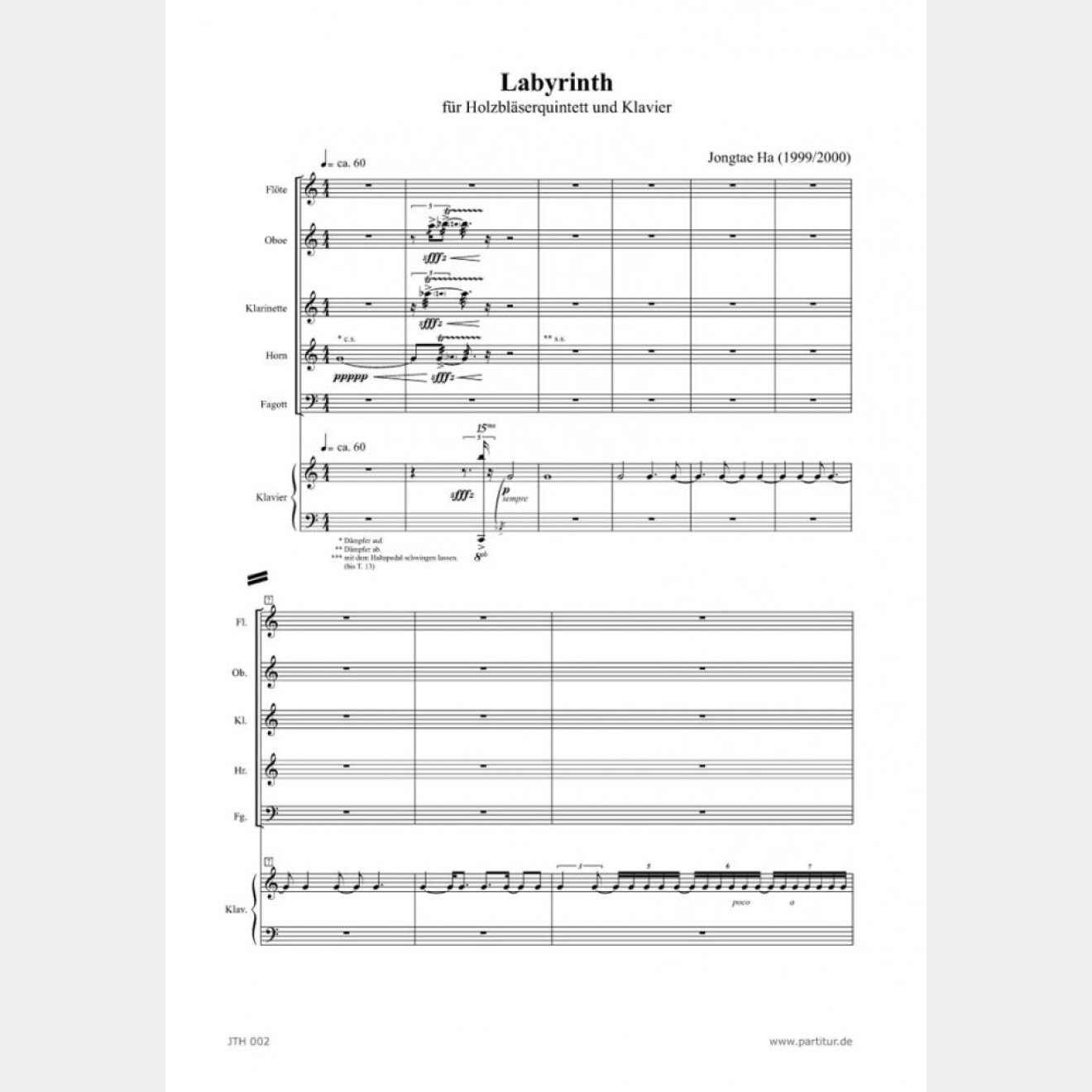 Labyrinth (Score and Parts), 13`