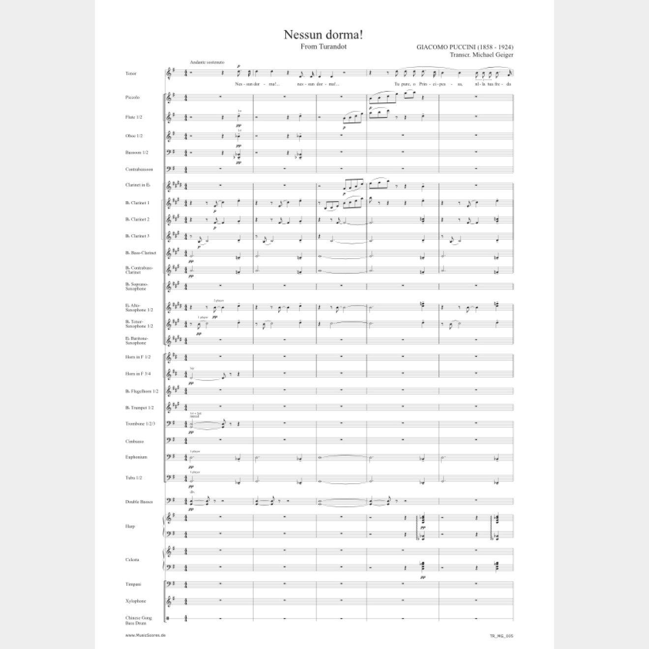 Nessun dorma! from Turandot, 2,5', (score and parts)